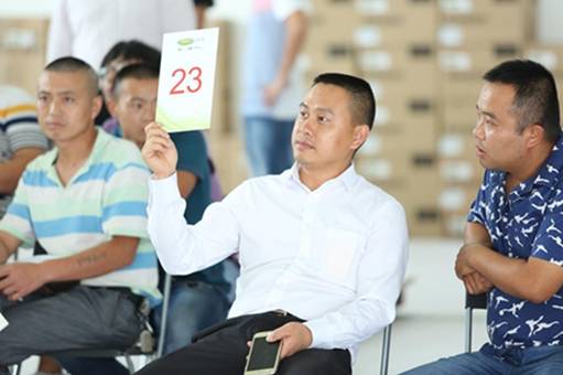 成交攀高 汽车街 成都新元素成功合作拍卖近50辆